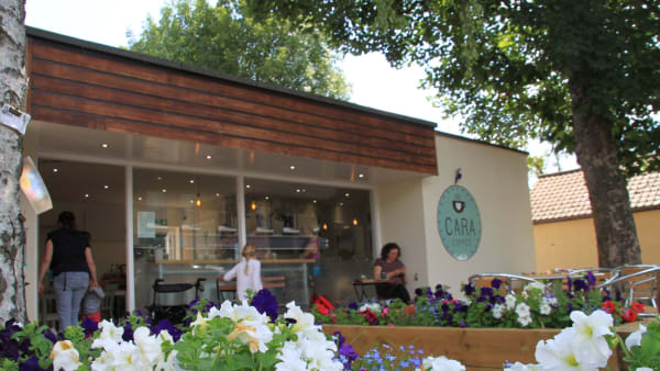 Cara Coffee Volunteers
